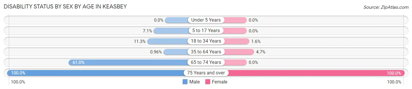 Disability Status by Sex by Age in Keasbey