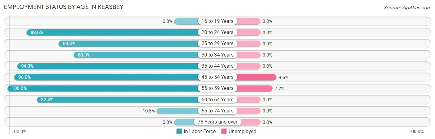 Employment Status by Age in Keasbey
