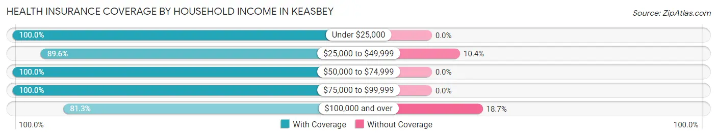 Health Insurance Coverage by Household Income in Keasbey