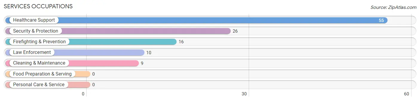 Services Occupations in Kenvil