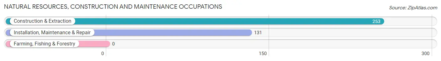 Natural Resources, Construction and Maintenance Occupations in Keyport borough