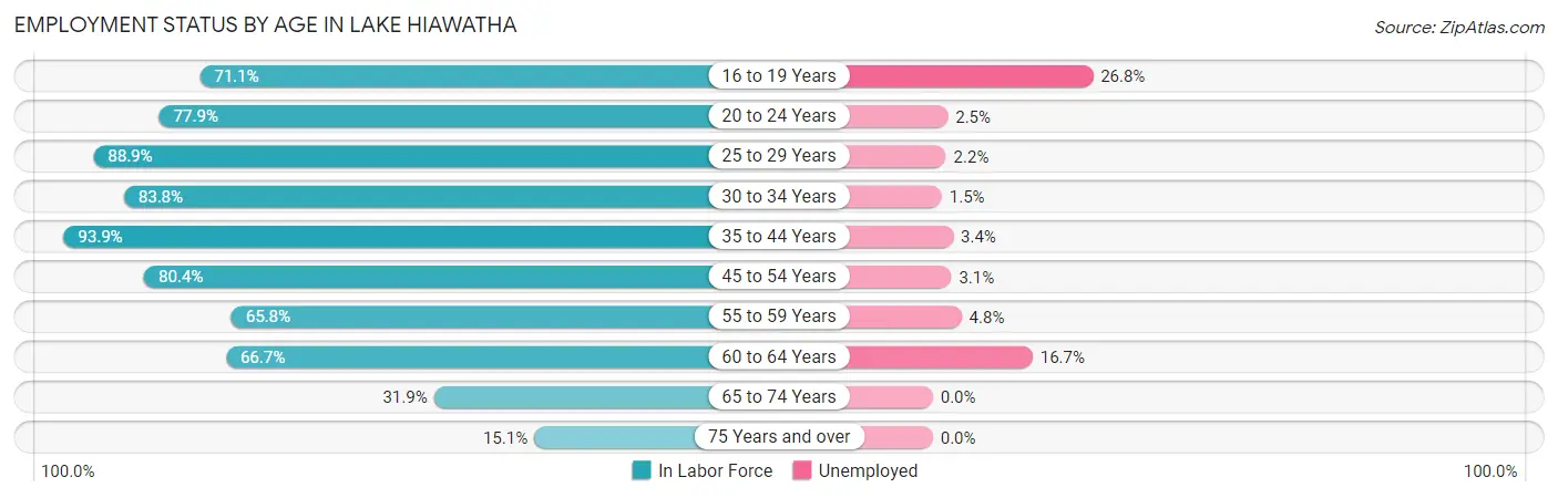 Employment Status by Age in Lake Hiawatha
