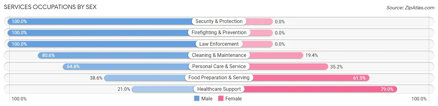 Services Occupations by Sex in Lake Hiawatha