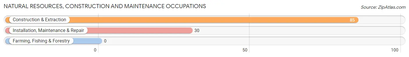 Natural Resources, Construction and Maintenance Occupations in Ledgewood