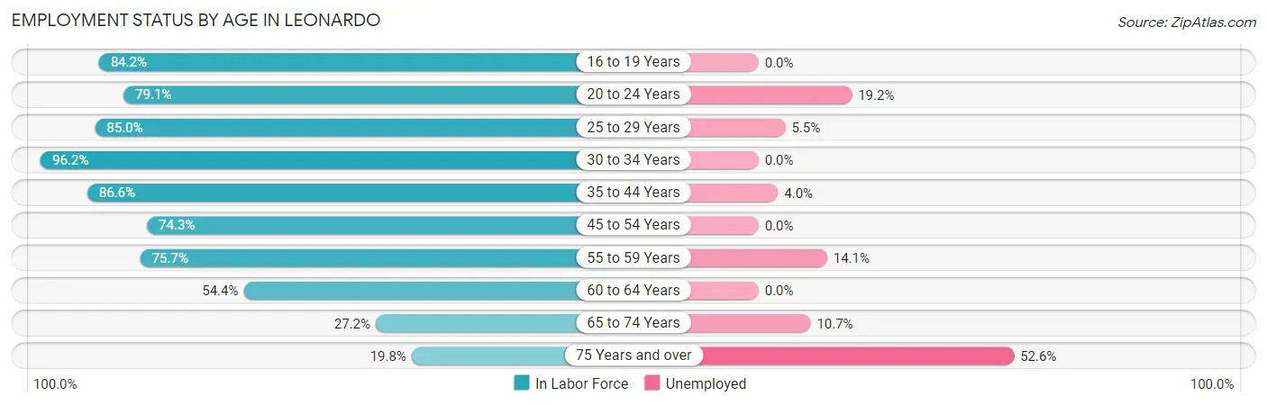 Employment Status by Age in Leonardo