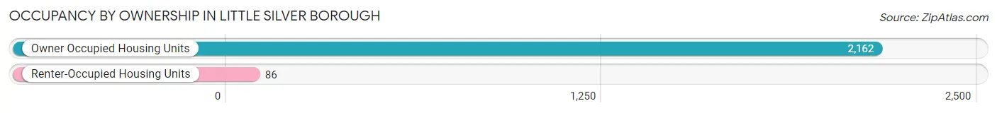 Occupancy by Ownership in Little Silver borough