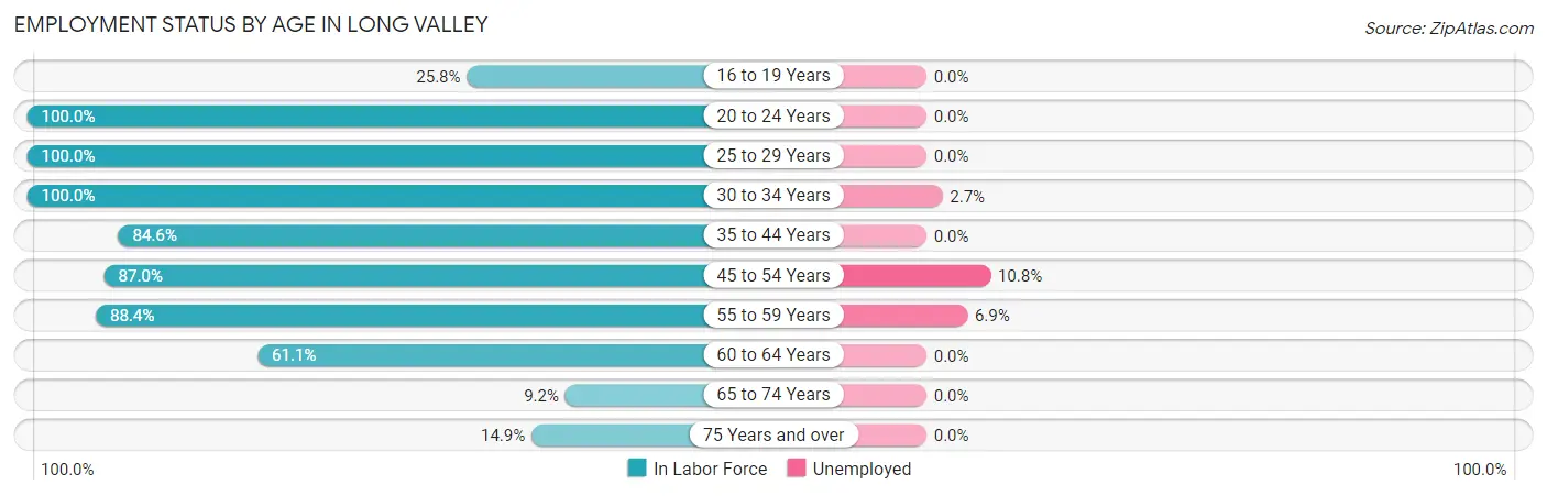 Employment Status by Age in Long Valley