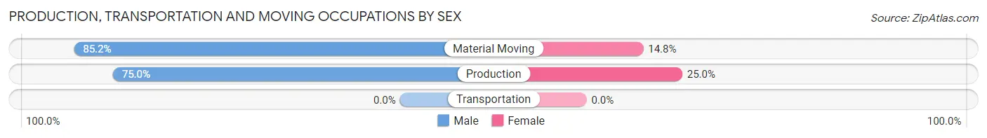 Production, Transportation and Moving Occupations by Sex in Margate City