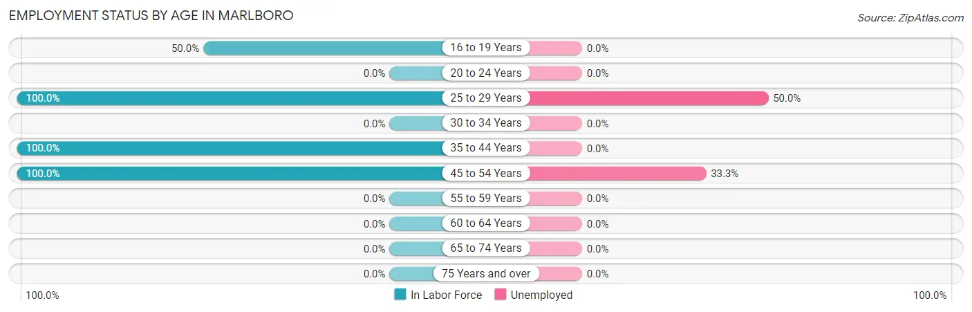 Employment Status by Age in Marlboro