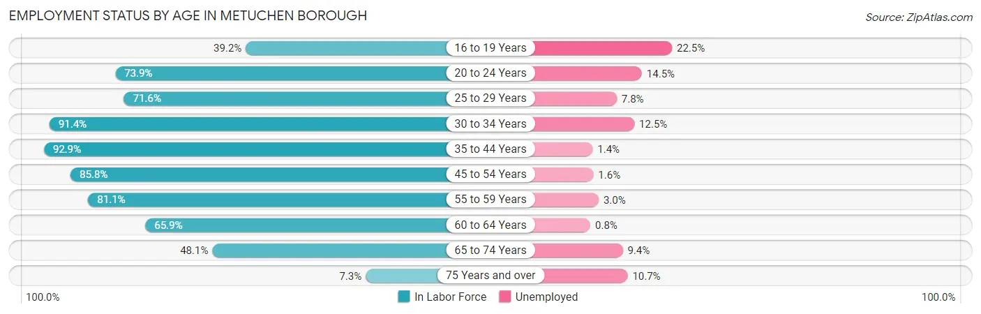 Employment Status by Age in Metuchen borough
