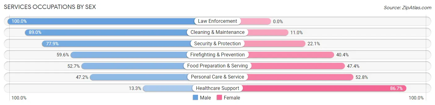 Services Occupations by Sex in Metuchen borough