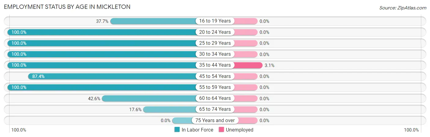 Employment Status by Age in Mickleton