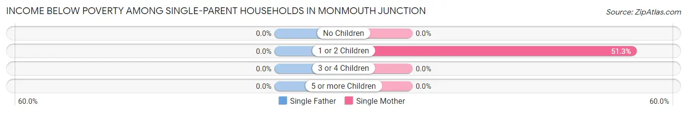 Income Below Poverty Among Single-Parent Households in Monmouth Junction