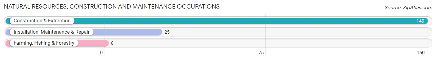 Natural Resources, Construction and Maintenance Occupations in Mount Arlington borough