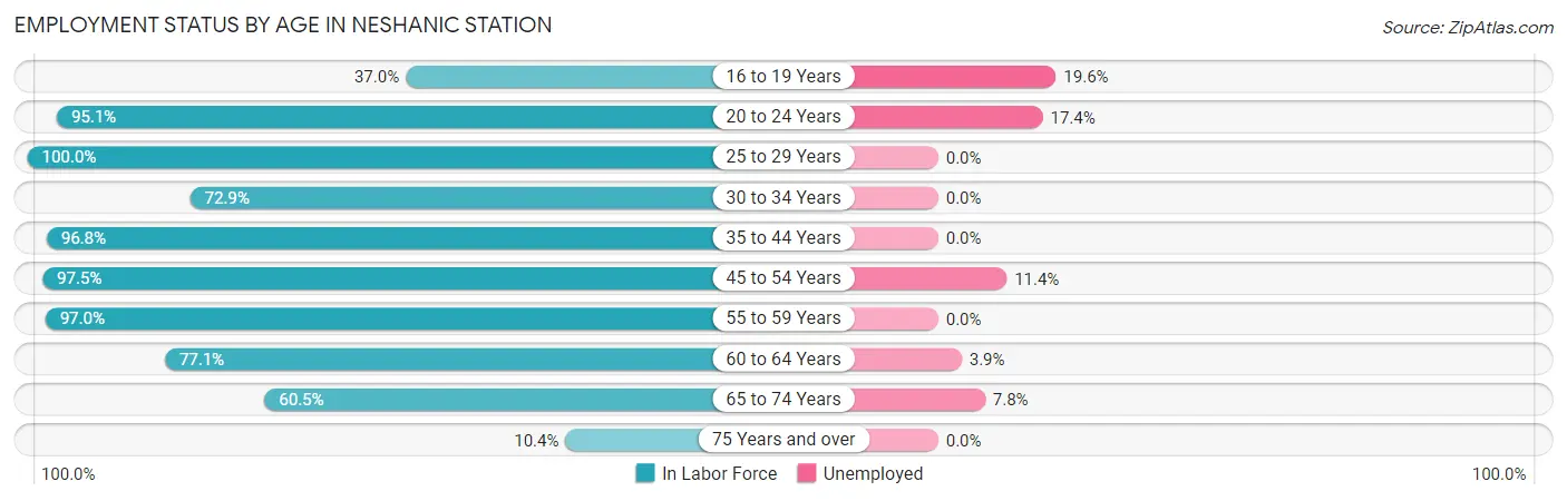 Employment Status by Age in Neshanic Station