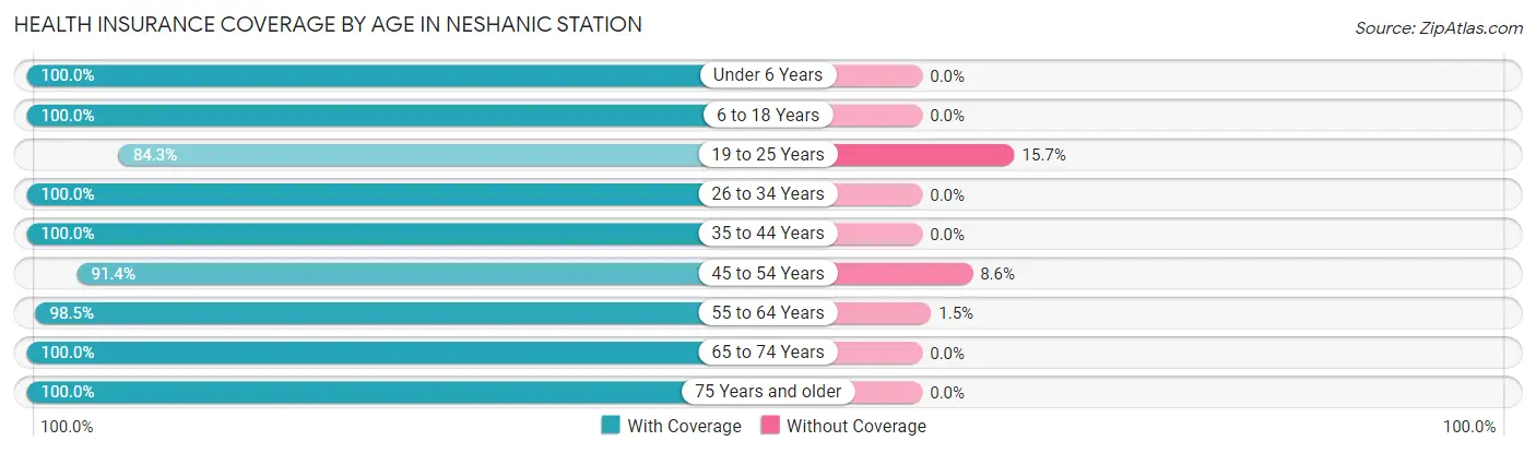 Health Insurance Coverage by Age in Neshanic Station