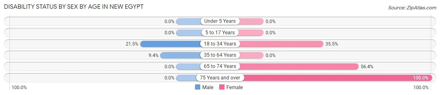 Disability Status by Sex by Age in New Egypt