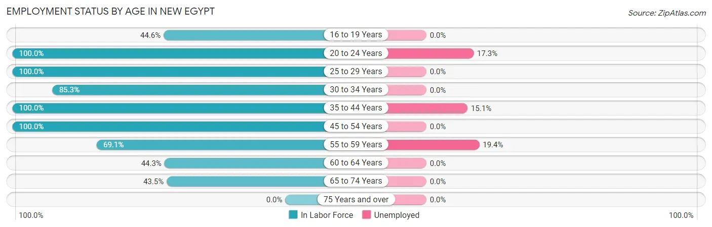 Employment Status by Age in New Egypt