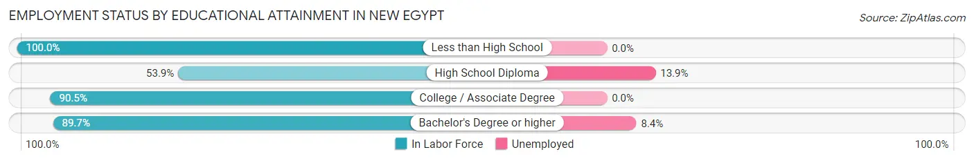 Employment Status by Educational Attainment in New Egypt