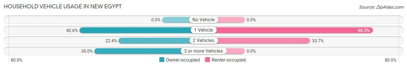 Household Vehicle Usage in New Egypt