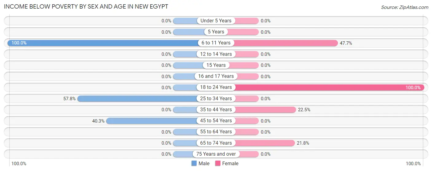 Income Below Poverty by Sex and Age in New Egypt