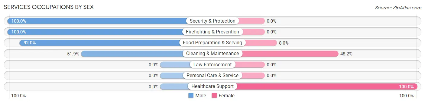 Services Occupations by Sex in New Egypt