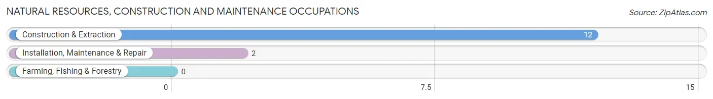 Natural Resources, Construction and Maintenance Occupations in New Gretna