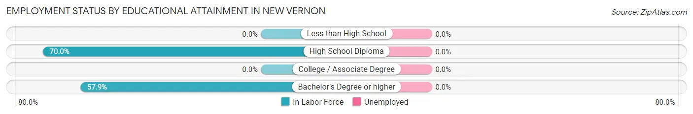 Employment Status by Educational Attainment in New Vernon