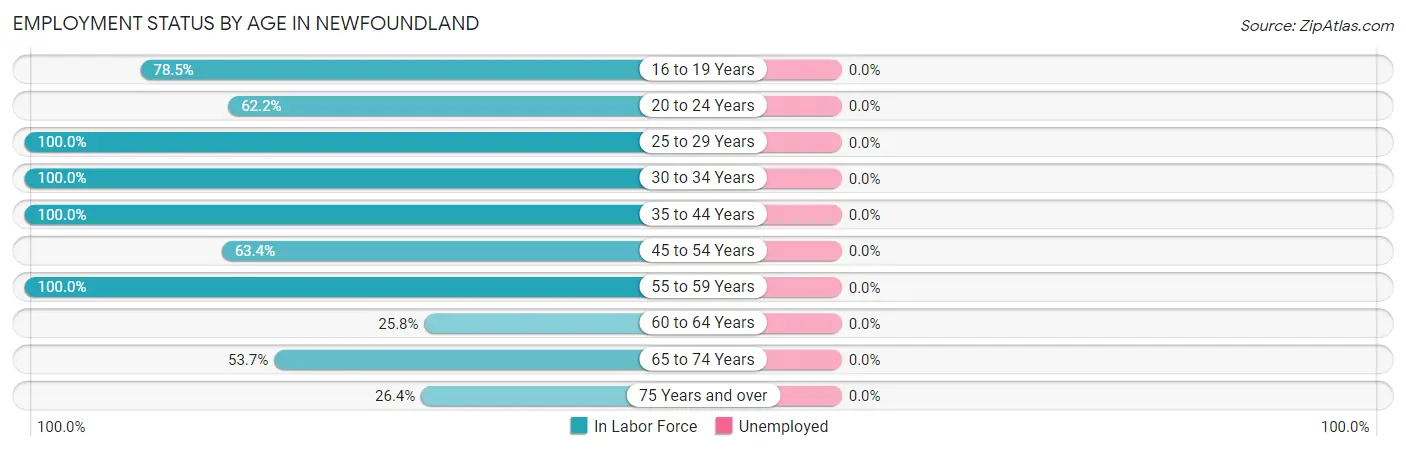 Employment Status by Age in Newfoundland