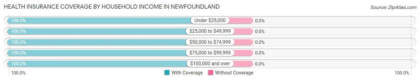 Health Insurance Coverage by Household Income in Newfoundland