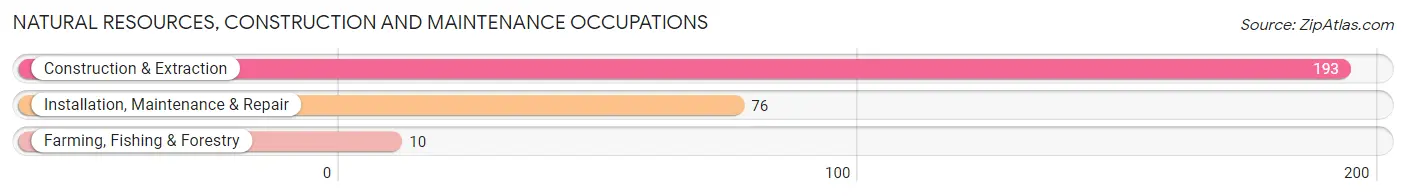 Natural Resources, Construction and Maintenance Occupations in Ocean City