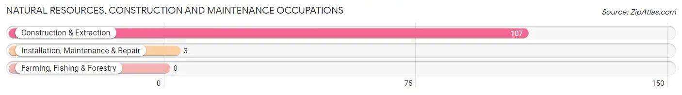 Natural Resources, Construction and Maintenance Occupations in Oxford