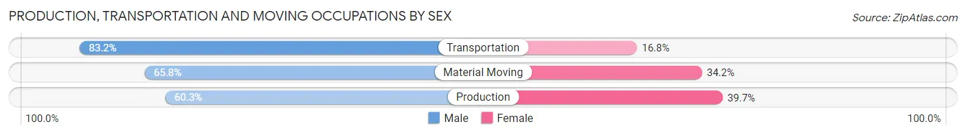 Production, Transportation and Moving Occupations by Sex in Paterson