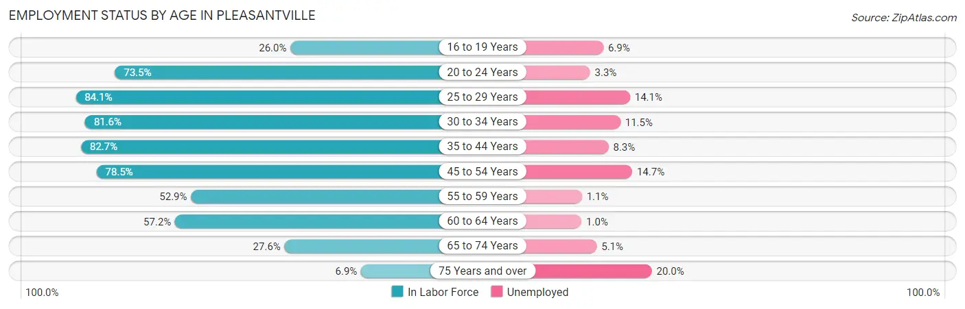 Employment Status by Age in Pleasantville