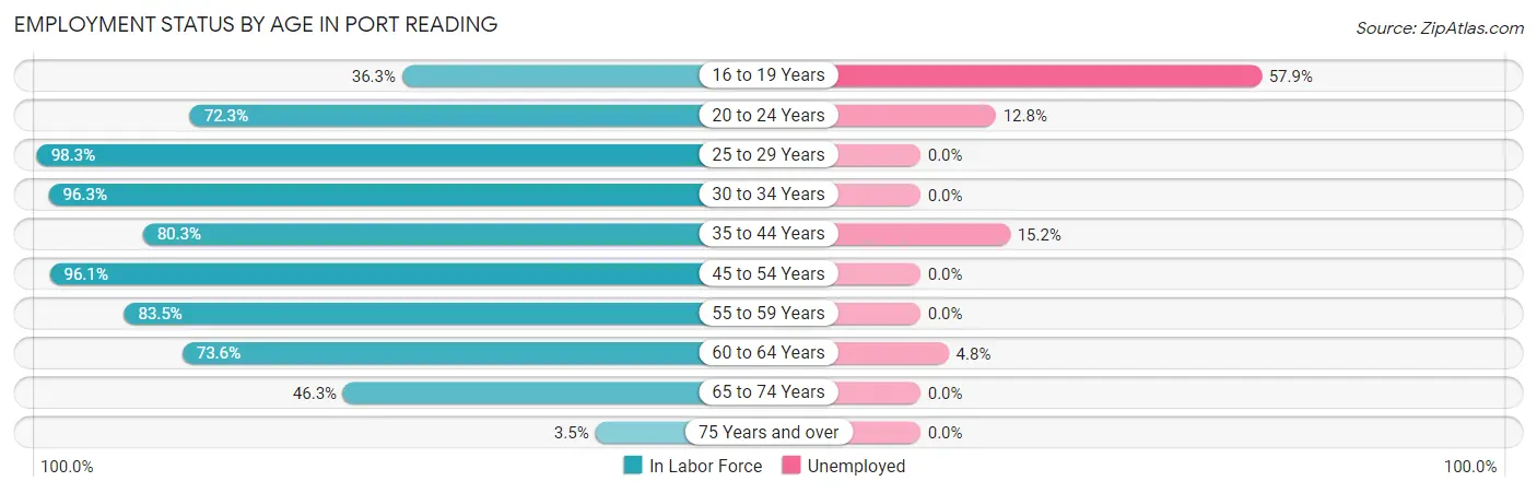 Employment Status by Age in Port Reading