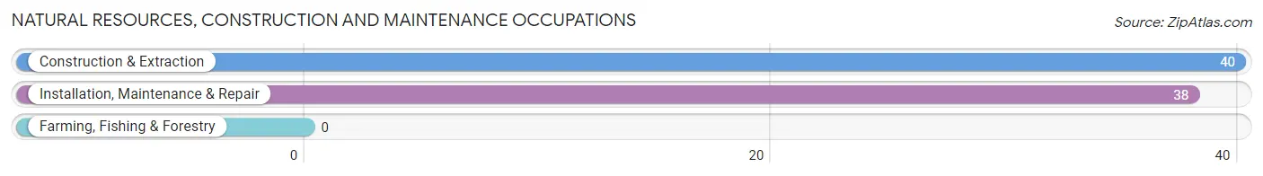 Natural Resources, Construction and Maintenance Occupations in Port Reading