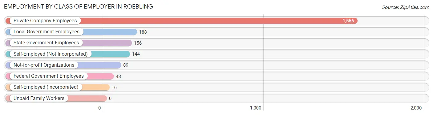 Employment by Class of Employer in Roebling