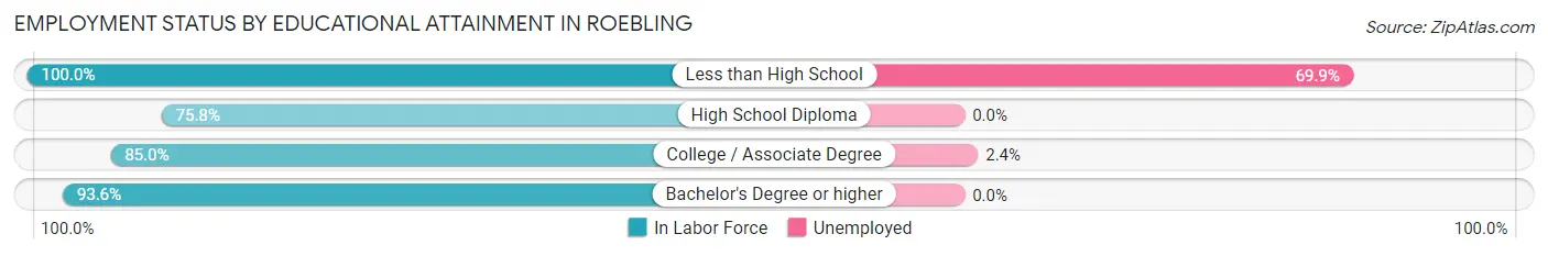 Employment Status by Educational Attainment in Roebling