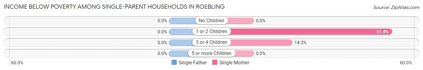 Income Below Poverty Among Single-Parent Households in Roebling