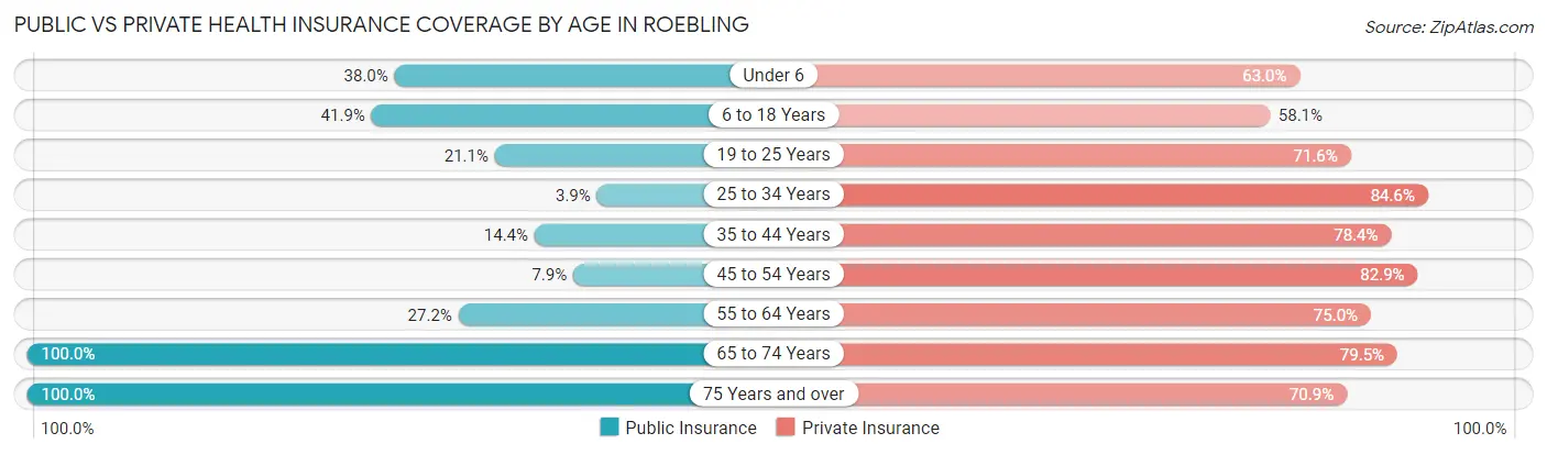 Public vs Private Health Insurance Coverage by Age in Roebling