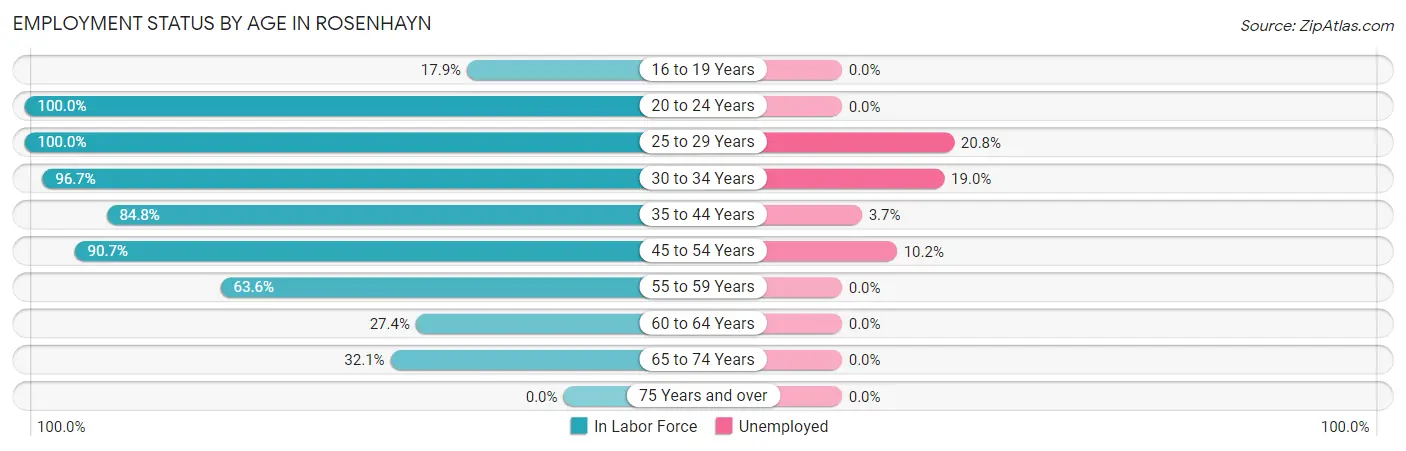 Employment Status by Age in Rosenhayn
