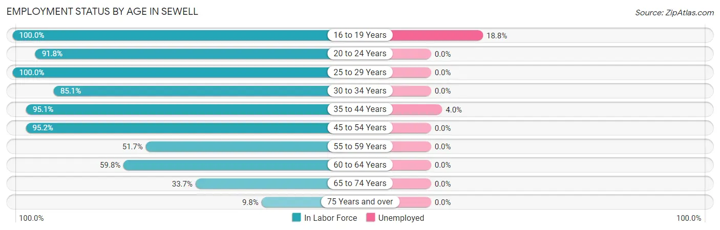 Employment Status by Age in Sewell
