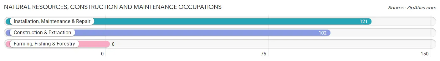 Natural Resources, Construction and Maintenance Occupations in Somers Point