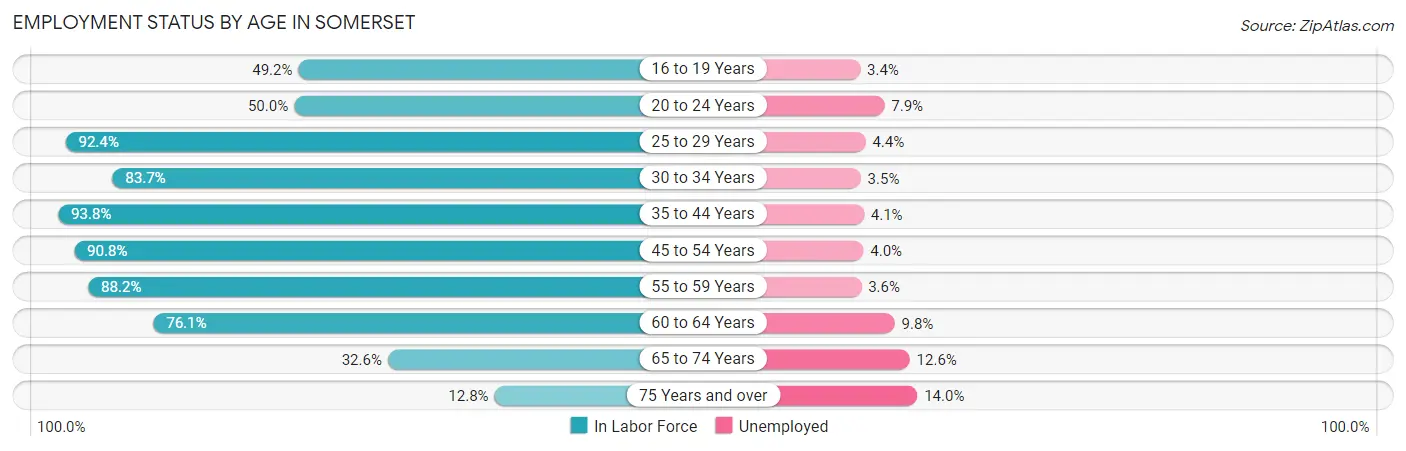 Employment Status by Age in Somerset