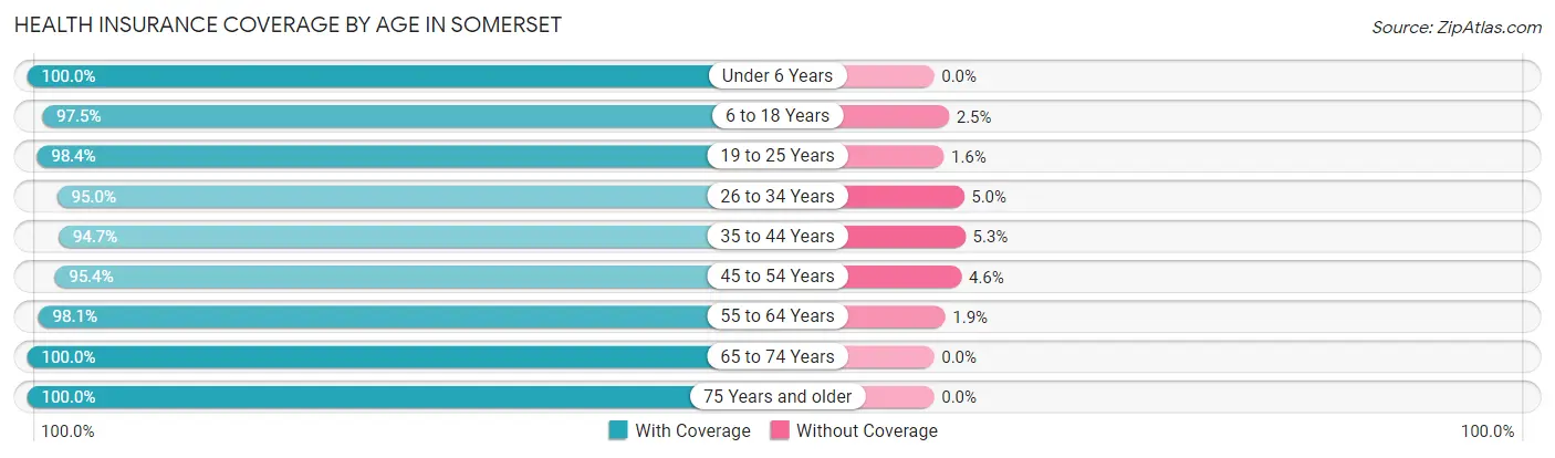 Health Insurance Coverage by Age in Somerset