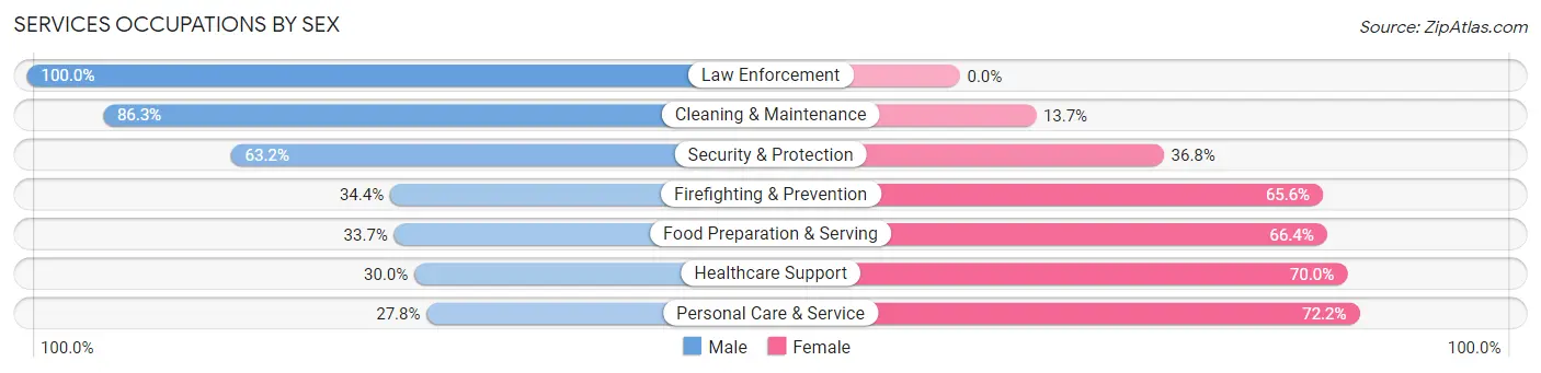 Services Occupations by Sex in Spotswood borough