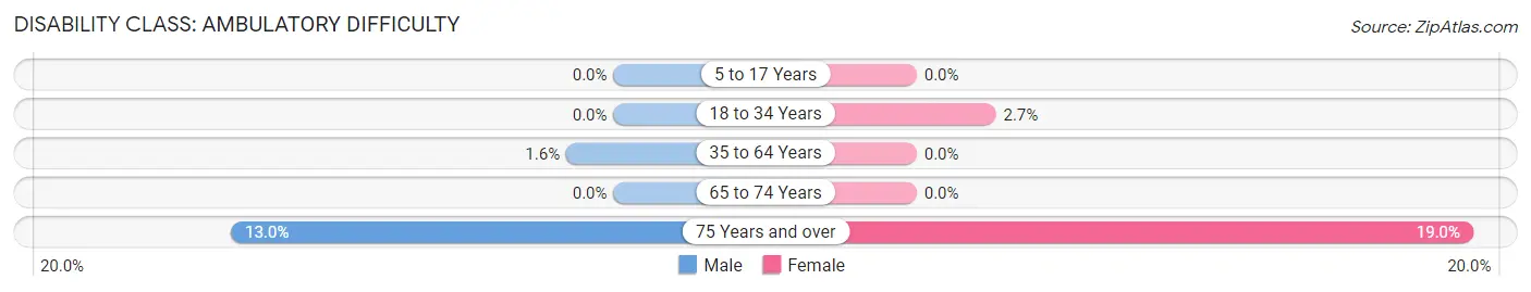 Disability in Stone Harbor borough: <span>Ambulatory Difficulty</span>