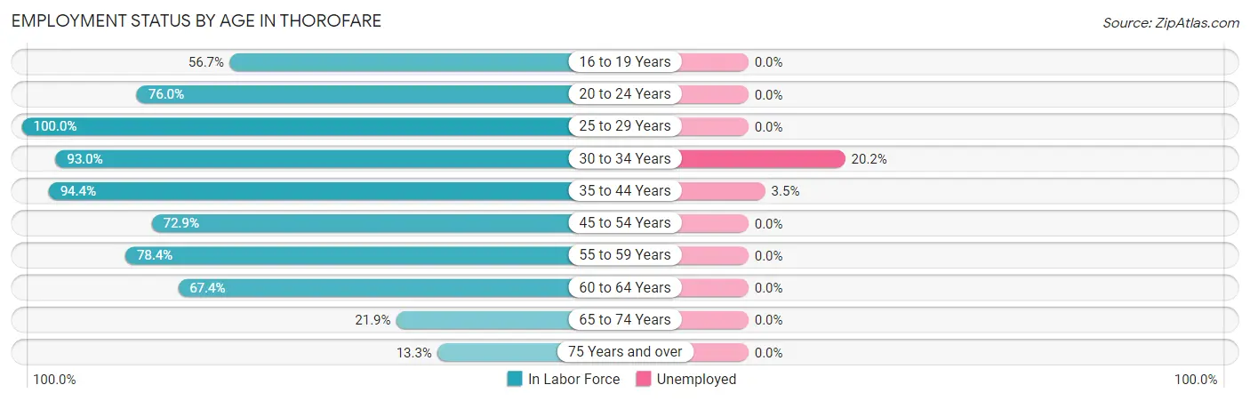 Employment Status by Age in Thorofare