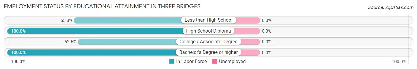 Employment Status by Educational Attainment in Three Bridges