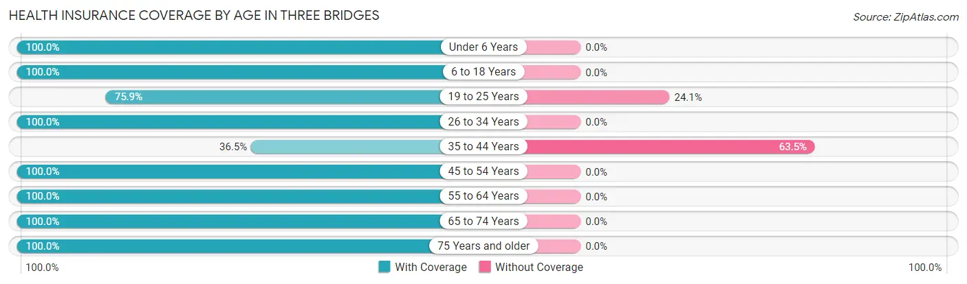 Health Insurance Coverage by Age in Three Bridges